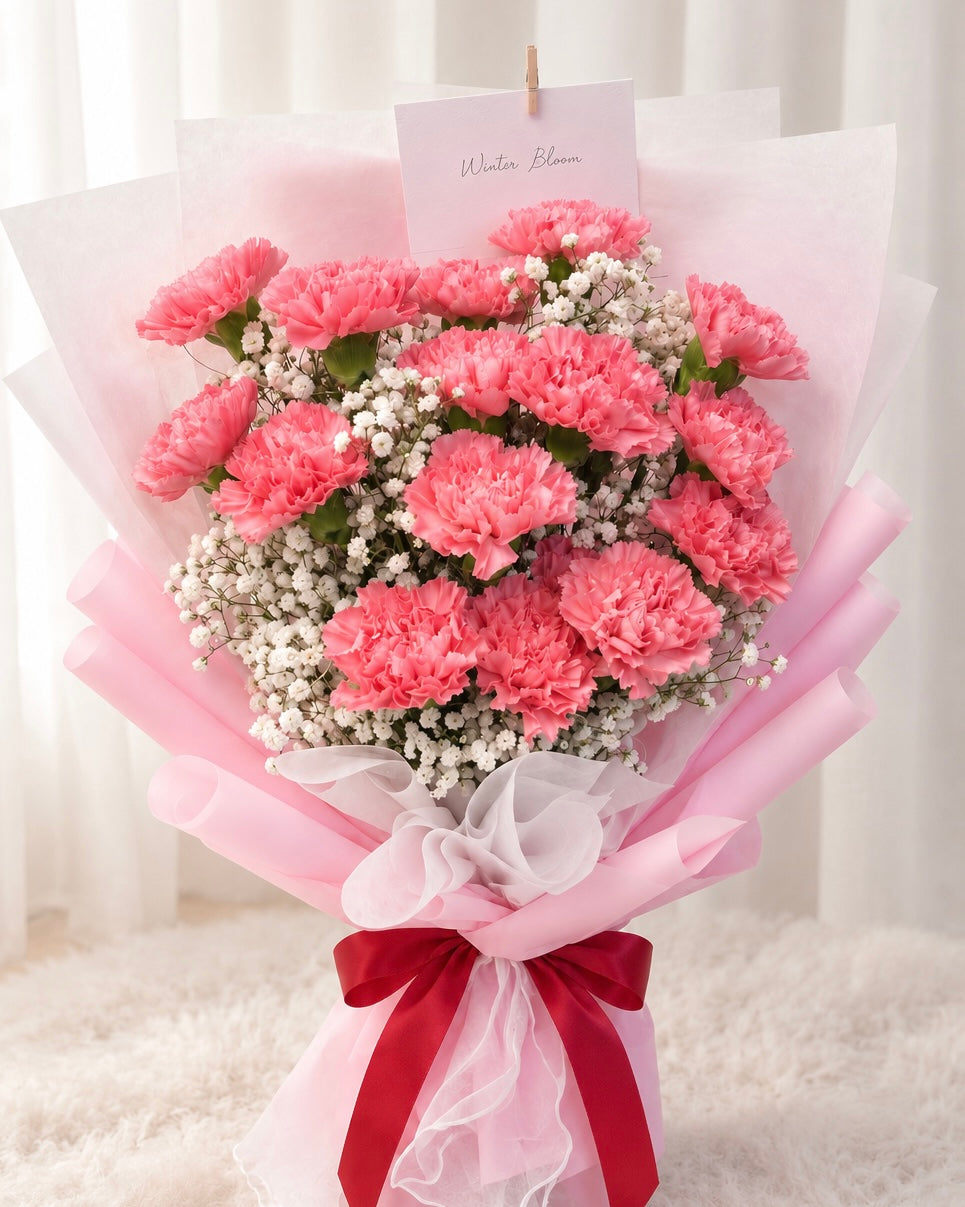 Carnation Blossom