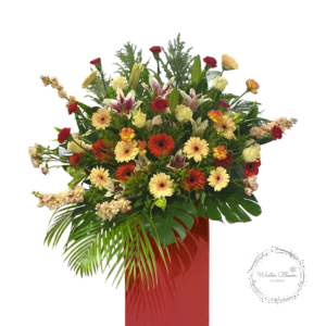Blessing Congratulatory